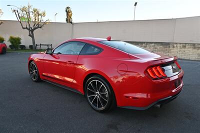 2020 Ford Mustang EcoBoost   - Photo 8 - Norwalk, CA 90650-2241