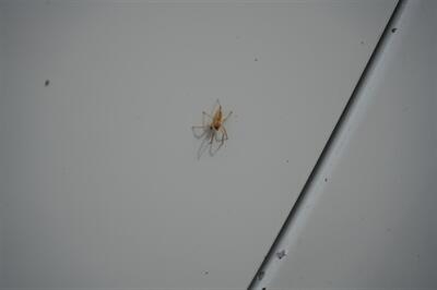 2014 Jeep Wrangler Sport   - Photo 22 - Panorama City, CA 91402