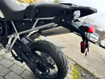 2023 Triumph Tiger 900 Rally Pro - Photo 7 - San Ramon, CA 94583