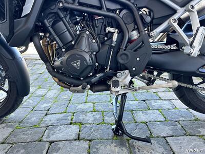 2024 Triumph Tiger 900 GT Pro - Photo 10 - San Ramon, CA 94583
