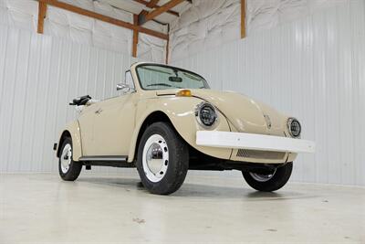 1976 Volkswagen Beetle-Classic  