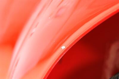 1955 Volkswagen Beetle-Classic   - Photo 66 - Sylvania, OH 43560