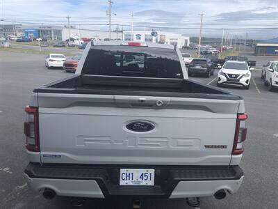 2023 Ford F-150 Tremor   - Photo 20 - Clarenville, NL A5A 2C4