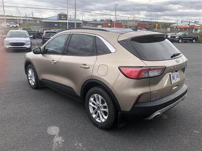 2021 Ford Escape SE - Photo 3 - Clarenville, NL A5A 2C4