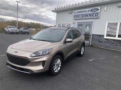 2021 Ford Escape SE - Photo 2 - Clarenville, NL A5A 2C4