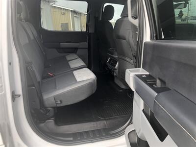 2023 Ford F-250 Super Duty XLT   - Photo 15 - Clarenville, NL A5A 2C4