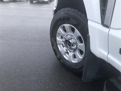 2023 Ford F-250 Super Duty XLT   - Photo 3 - Clarenville, NL A5A 2C4