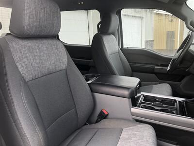 2023 Ford F-250 Super Duty XLT   - Photo 6 - Clarenville, NL A5A 2C4