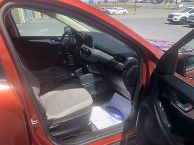 2020 Ford Escape SE   - Photo 5 - Clarenville, NL A5A 2C4