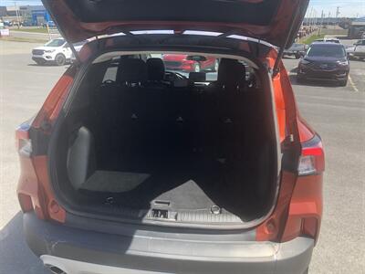 2020 Ford Escape SE   - Photo 12 - Clarenville, NL A5A 2C4