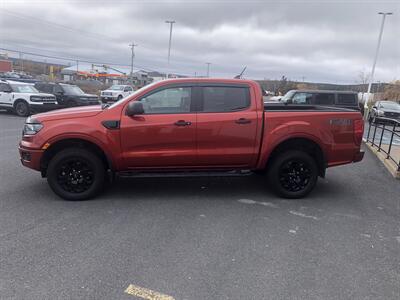 2023 Ford Ranger XLT   - Photo 3 - Clarenville, NL A5A 2C4
