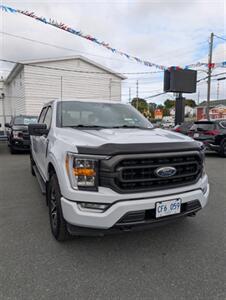 2021 Ford F-150 XL - Photo 2 - St John's, NL A1B 1C2