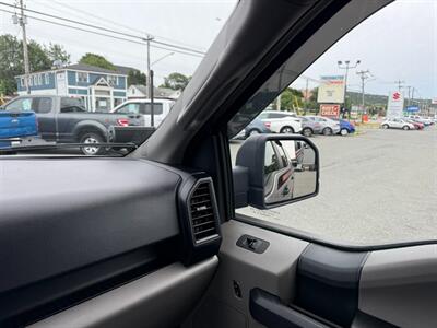 2020 Ford F-150 XL   - Photo 36 - St John's, NL A1B 1C2