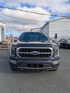 2022 Ford F-150 HYBRID Platinum - Photo 2 - St John's, NL A1B 1C2