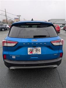 2021 Ford Escape Hybrid Titanium   - Photo 8 - St John's, NL A1B 1C2