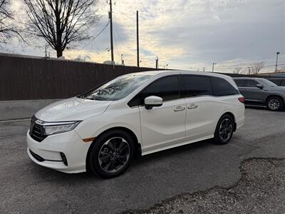 2023 Honda Odyssey Elite   - Photo 5 - Nashville, TN 37210