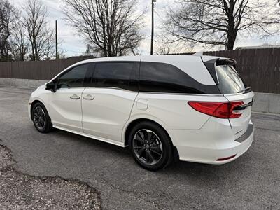 2023 Honda Odyssey Elite   - Photo 6 - Nashville, TN 37210