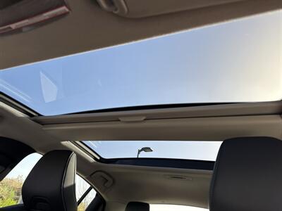 2024 Toyota Prius XLE   - Photo 5 - San Juan Capistrano, CA 92675