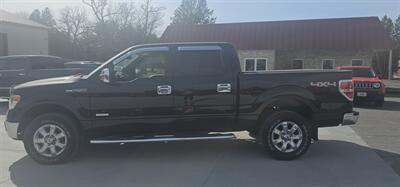 2014 Ford F-150 XLT   - Photo 9 - Spring Valley, MN 55975