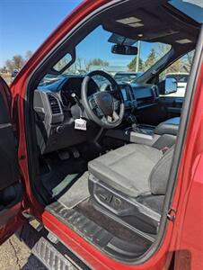 2016 Ford F-150 XLT   - Photo 9 - Spring Valley, MN 55975