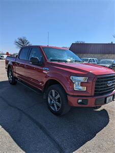 2016 Ford F-150 XLT   - Photo 3 - Spring Valley, MN 55975