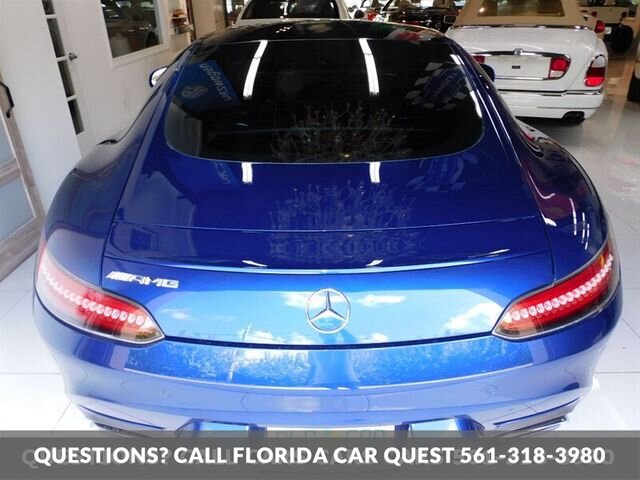 2017 Mercedes-Benz Mercedes-AMG  GT - Photo 5 - West Palm Beach, FL 33411