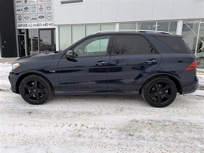 2017 Mercedes-Benz GLE AMG GLE 43 - Photo 8 - Edmonton, AB T5L 4H5