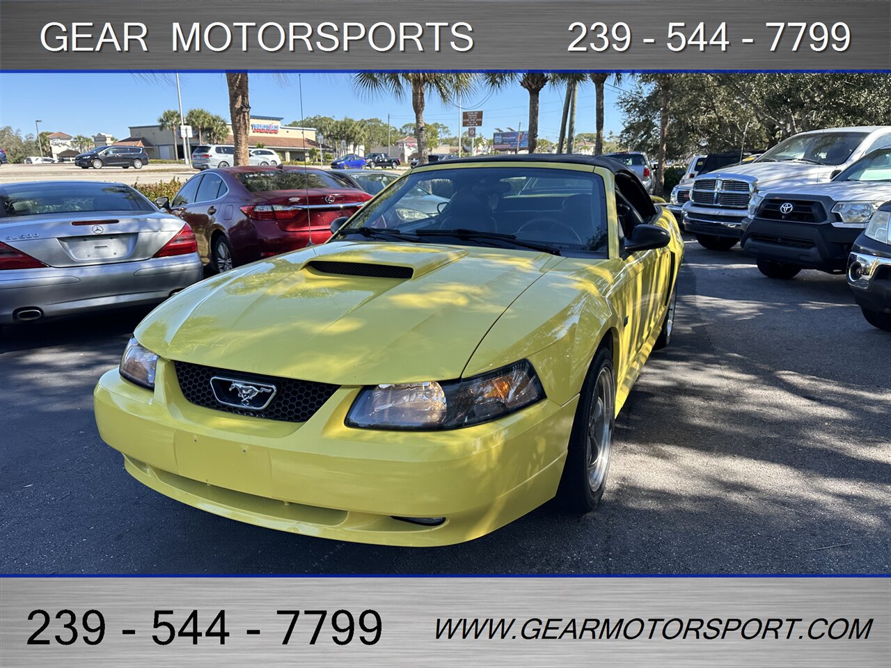 2003 Ford Mustang GT Premium - Photo 44 - Estero, FL 33928