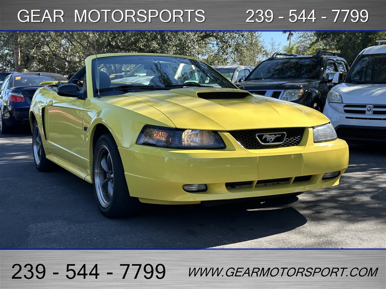2003 Ford Mustang GT Premium - Photo 3 - Estero, FL 33928
