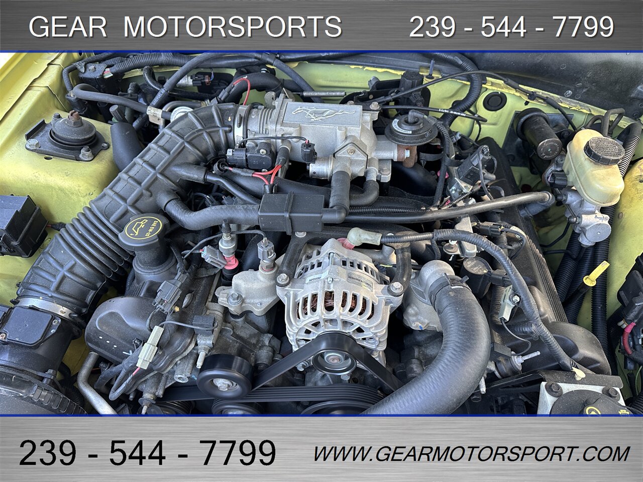 2003 Ford Mustang GT Premium - Photo 13 - Estero, FL 33928