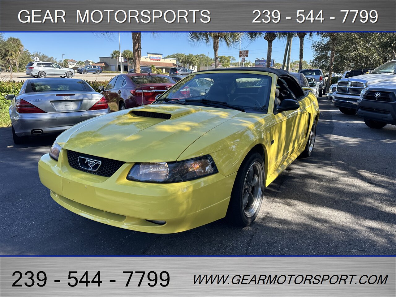2003 Ford Mustang GT Premium - Photo 43 - Estero, FL 33928