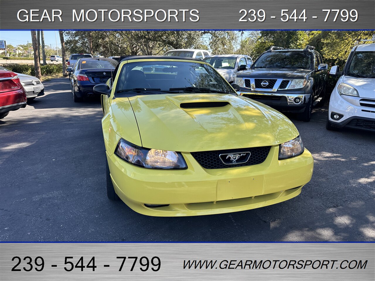 2003 Ford Mustang GT Premium - Photo 45 - Estero, FL 33928