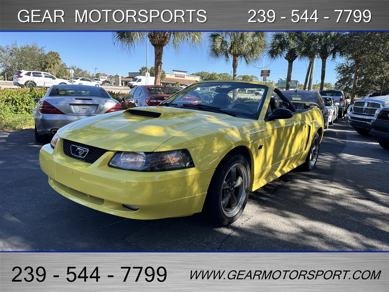 2003 Ford Mustang GT Premium - Photo 10 - Estero, FL 33928