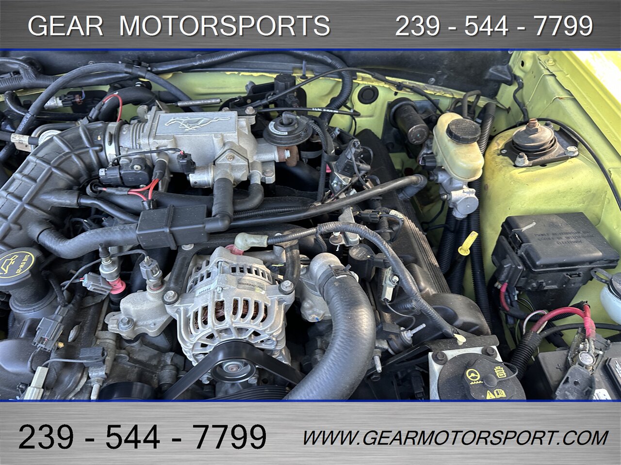 2003 Ford Mustang GT Premium - Photo 14 - Estero, FL 33928