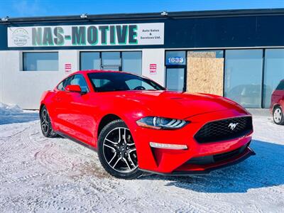 2019 Ford Mustang EcoBoost Coupe