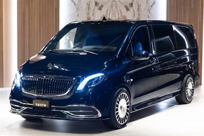 2022 Mercedes-Benz Metris VIP Custom Van