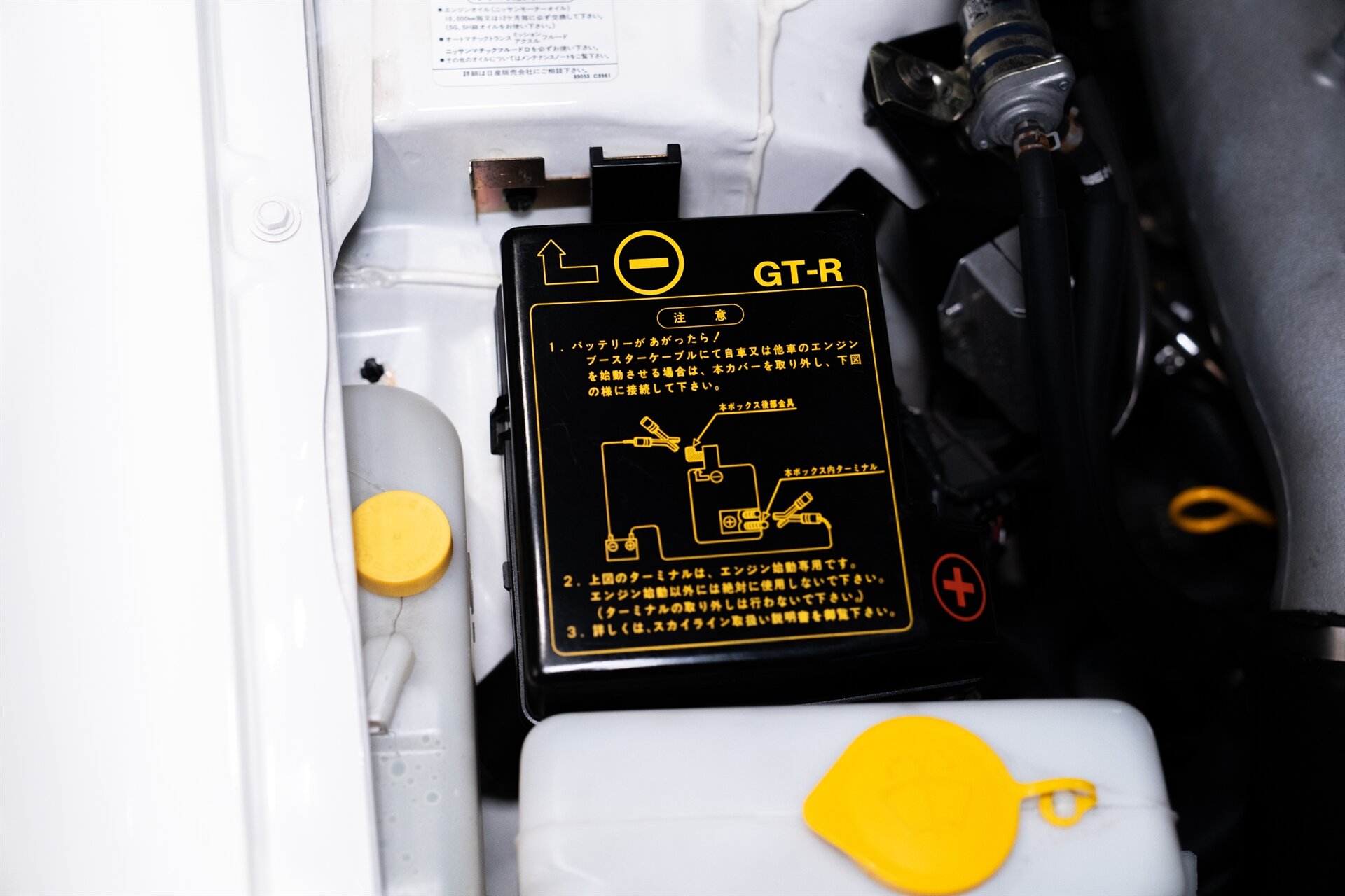 2000 Nissan GT-R - Photo 24