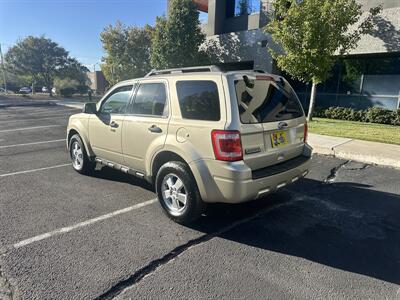 2011 Ford Escape XLT   - Photo 5 - Albuquerque, NM 87110