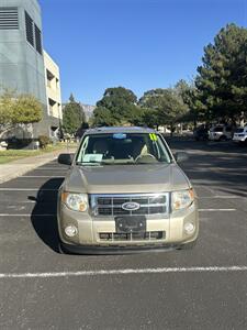 2011 Ford Escape XLT   - Photo 7 - Albuquerque, NM 87110