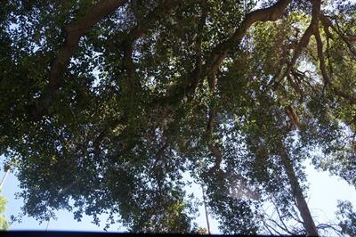 2020 BMW 3 Series 330i - Photo 17 - Pasadena, CA 91107