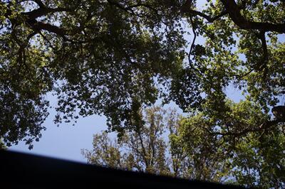 2019 BMW 4 Series 430i   - Photo 17 - Pasadena, CA 91107