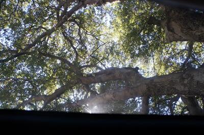 2015 Mazda Mazda6 i Grand Touring   - Photo 15 - Pasadena, CA 91107