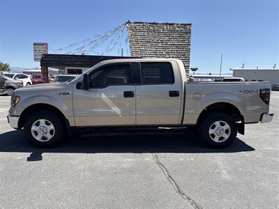 2014 Ford F-150 XLT 4dr SuperCrew   - Photo 3 - Helena, MT 59601