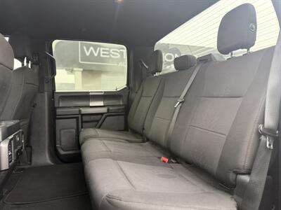 2019 Ford F-150 XLT   - Photo 12 - Edmonton, AB T5S 1R1