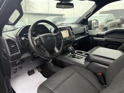 2019 Ford F-150 XLT   - Photo 9 - Edmonton, AB T5S 1R1