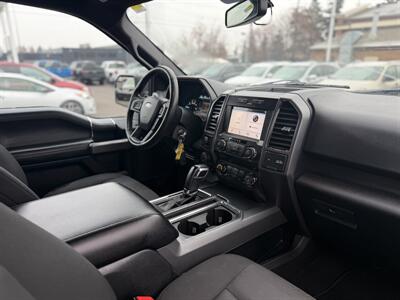 2019 Ford F-150 XLT   - Photo 15 - Edmonton, AB T5S 1R1