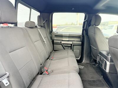 2019 Ford F-150 XLT *LOW KMS*   - Photo 15 - Edmonton, AB T5S 1R1