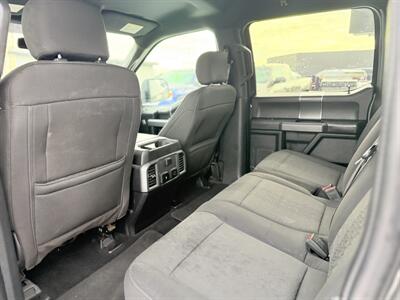 2019 Ford F-150 XLT *LOW KMS*   - Photo 17 - Edmonton, AB T5S 1R1