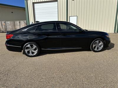2019 Honda Accord EX-L   - Photo 20 - Amarillo, TX 79109