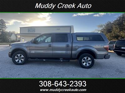 2013 Ford F-150 FX4   - Photo 1 - Merna, NE 68856